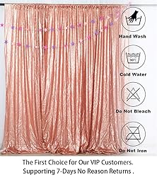 ShiDianYi 4FTX6FT-Blush-SEQUIN Photo