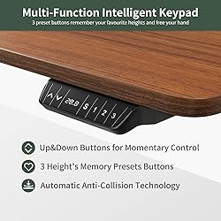 FEZIBO Electric Standing Desk, 40 x 24 Inches