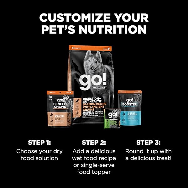 GO! SOLUTIONS DIGESTION + GUT HEALTH SALMON SOFT & CHEWY DOG TREATS, CHICKEN-FREE, HEALTHY SNACKS FOR DIGESTIVE WELLNESS, GREAT FOR TRAINING, FOR PUPPIES, ADULTS & SENIORS, 6 OZ BAG