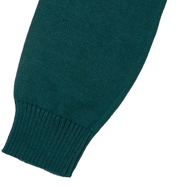 COZEEME MENS V-NECK PULLOVER LONG SLEEVE SWEATER GREEN X-LARGE