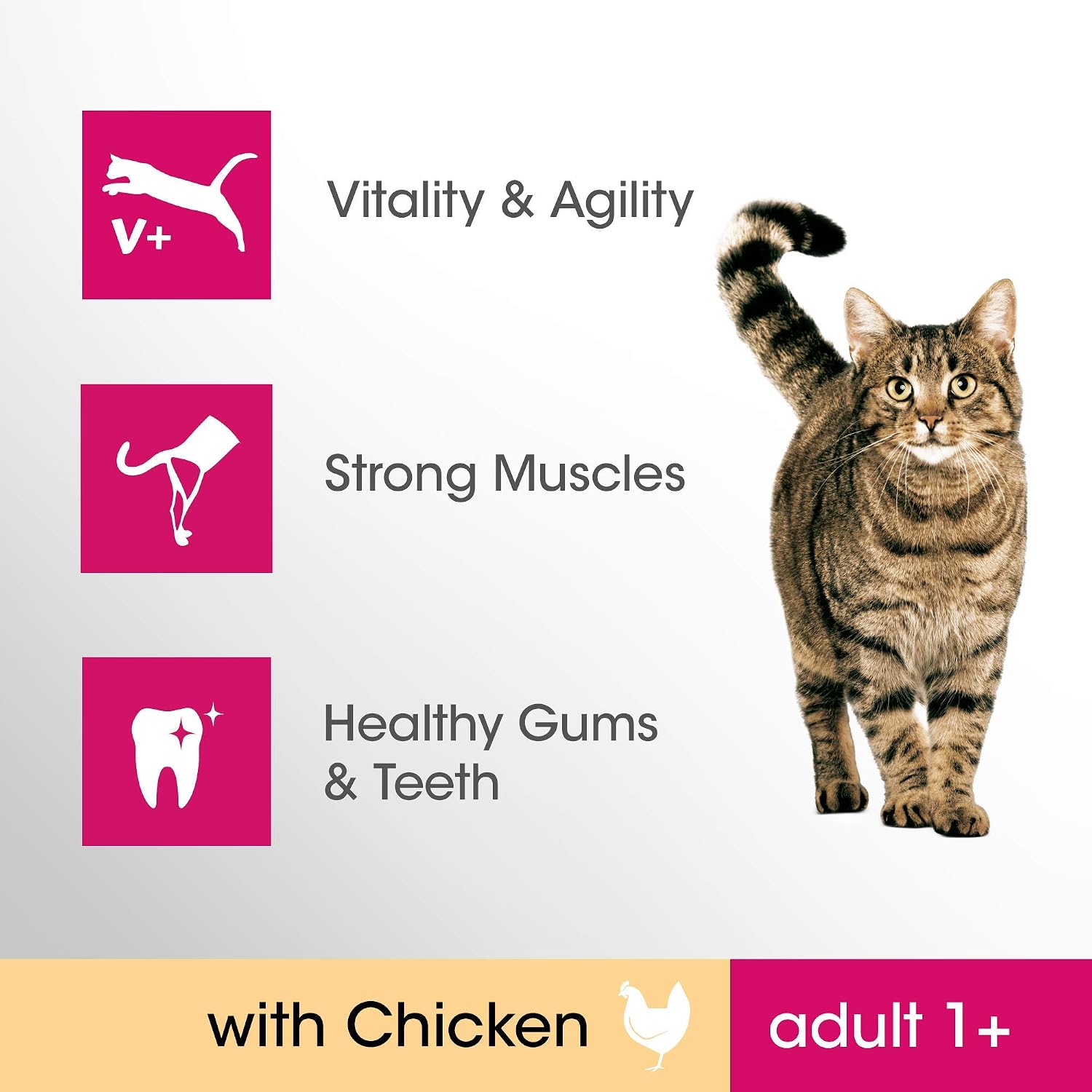 Perfect Fit 1+ Adult Chicken 7 kg Bag, Complete Premium Dry Cat Food, red, 7 kg (Pack of 1) - Image 5