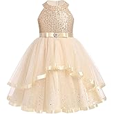 OBEEII Toddler Girls Pageant Dress Princess Sequin Tulle Tutu Dress Birthday Party Photoshoot Dress Glitter Flower Girl Dress