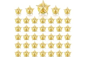 Xugoox 30Pcs Star Badge Lapel Pin Veterans Day Star Pins Independence Day Costume Decorations 4th of July Memorial Day Stars 