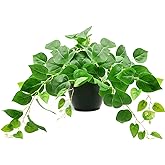 Tiita 1 Pack Fake Plants Artificial Scindapsus Aureus in Pots, Realistic Fake Greenery Potted Plants for Home Office Desk Window Sill Bathroom Bedroom Outdoor Indoor
