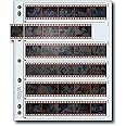 Print File 35mm Size Archival Storage Pages for Negatives | 6-Strips of 6-Frames - 25 Pack x 2