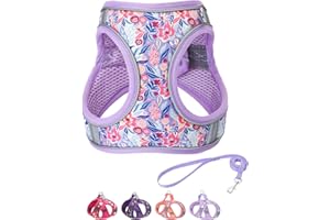 FLYMIND Step in Dog Harness and Leash Set, Flower Adjustable Easy Walk Puppy Harnesses, Soft Mesh Pet Vest Harness Small Size Dog Adjustable No Pull Dog Harness for Small Medium Dogs(Light Purple, S)