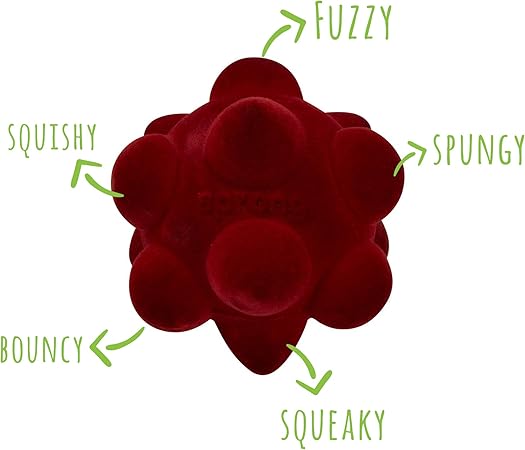 cover the hexagon dog toothbrush