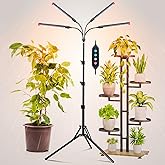 FRGROW 4Head Grow Light with Stand for Tall Indoor Plants, Bonsai Tree, Bright Full Spectrum Plant Growing Lamps, 4/8/12/16/20H Timer, 36 Watt Power Draw, NO Need Adapter, 360° Gooseneck