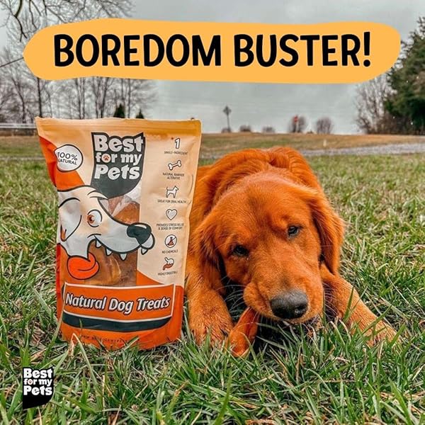 BEST FOR MY PETS PIG EARS FOR DOGS (WHOLE, 6 PACK), HEALTHY, HIGHLY DIGESTIBLE ALL NATURAL PIGS EARS LONG-LASTING DOG CHEWS, PORK DOG CHEW TREAT