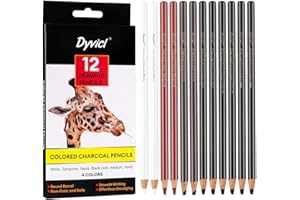 Dyvicl Colored Charcoal Pencils Drawing Set, 12 Pieces Black White Charcoal Pencils for Drawing, Sketching, Shading, Blending, Pastel Chalk Pencils for Beginners and Artists