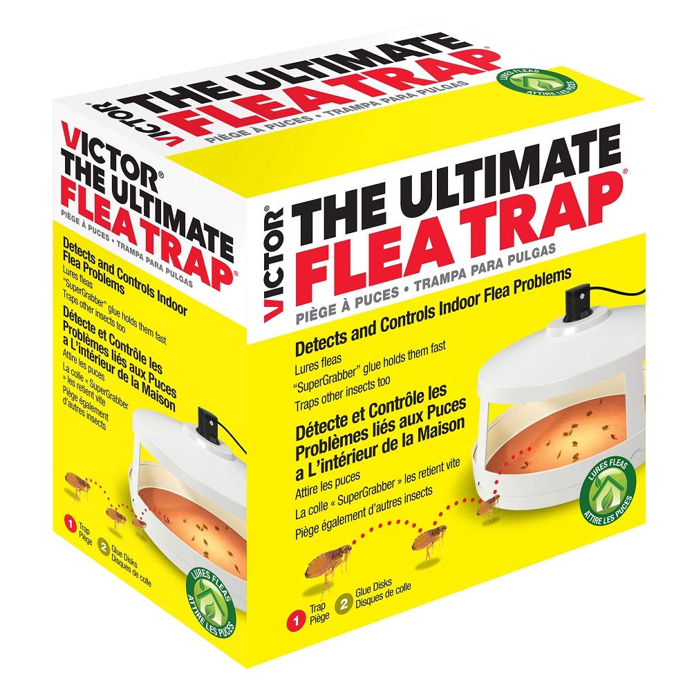 Safer Victor M230 Ultimate Flea Trap Amazon.in Garden & Outdoors