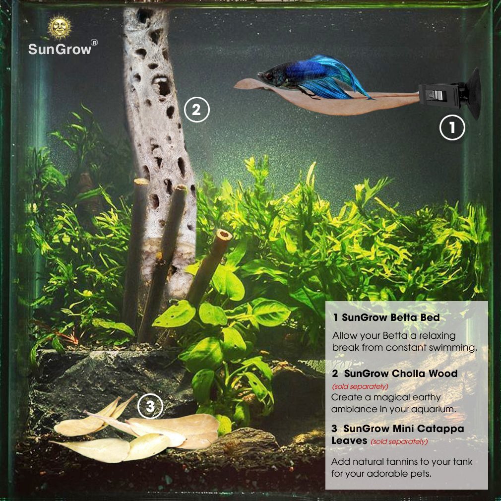 Betta Bed Kit (6 Beds + 2 Suction Cups) by Sungrow - Non-plastic, BPA-Free Hammock - Natural, Organic, Comfortable Rest Area for Fish Aquarium - Improves health by Simulating Betta\'s Natural Habitat