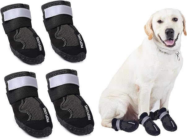 waterproof dog boots for injured paws
