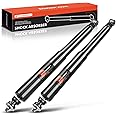 A-Premium Rear Pair (2) Shock Absorber Compatible with Ford F-150 1997-2003, F-150 Heritage 2004, RWD Only, Driver and Passenger Side