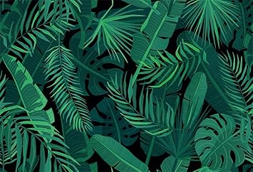 Amazon Com Aofoto 7x5ft Palm Leaves Backdrop Summer Tropical Green Coconut Leaf Background Jungle Forest Safari Wild Nature Scene Photography Baby Shower Newborn Birthday Photo Portrait Photoshoot Prop Vinyl Camera