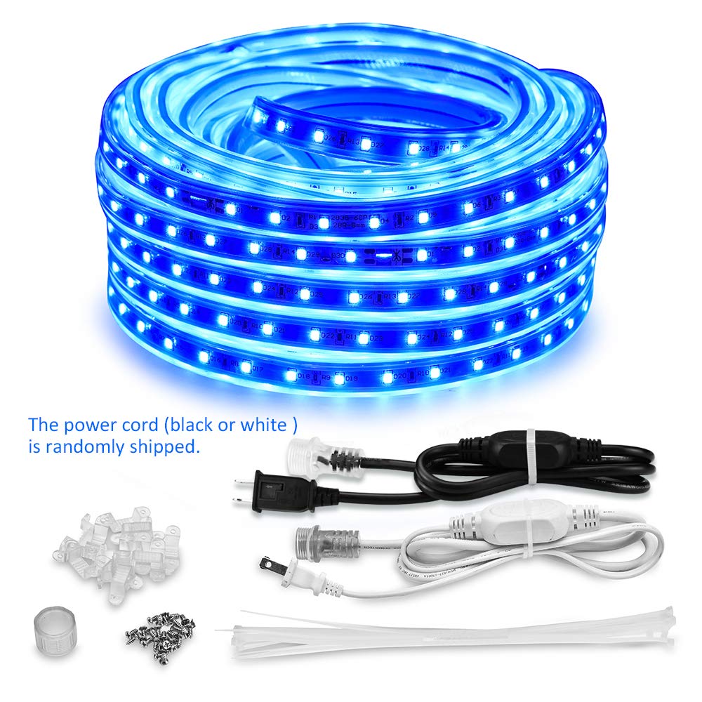 Best 100Ft Rope Lighting Kit