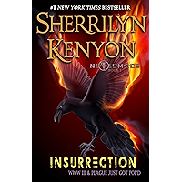 Insurrection: Witch of Endor (Nevermore Book 1) book cover