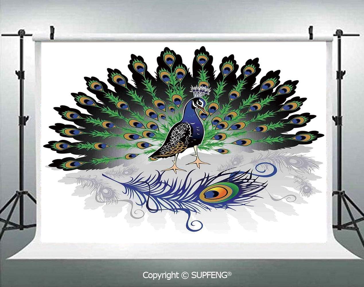 ベストコレクション 孔雀 イラスト リアル 孔雀 イラスト リアル Okepictorgv