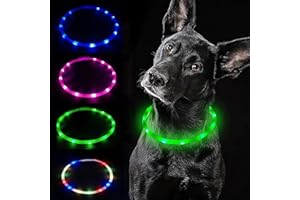 Dog led Collar Light Rechargeable Lighted Dog Collar 4 Modes Changing Light Up Dog Collar Waterproof LED Safety Collar LED Do