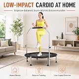 Panana Foldable Mini Trampoline 48 inch with Adjustable Handlebar 150kg view 3