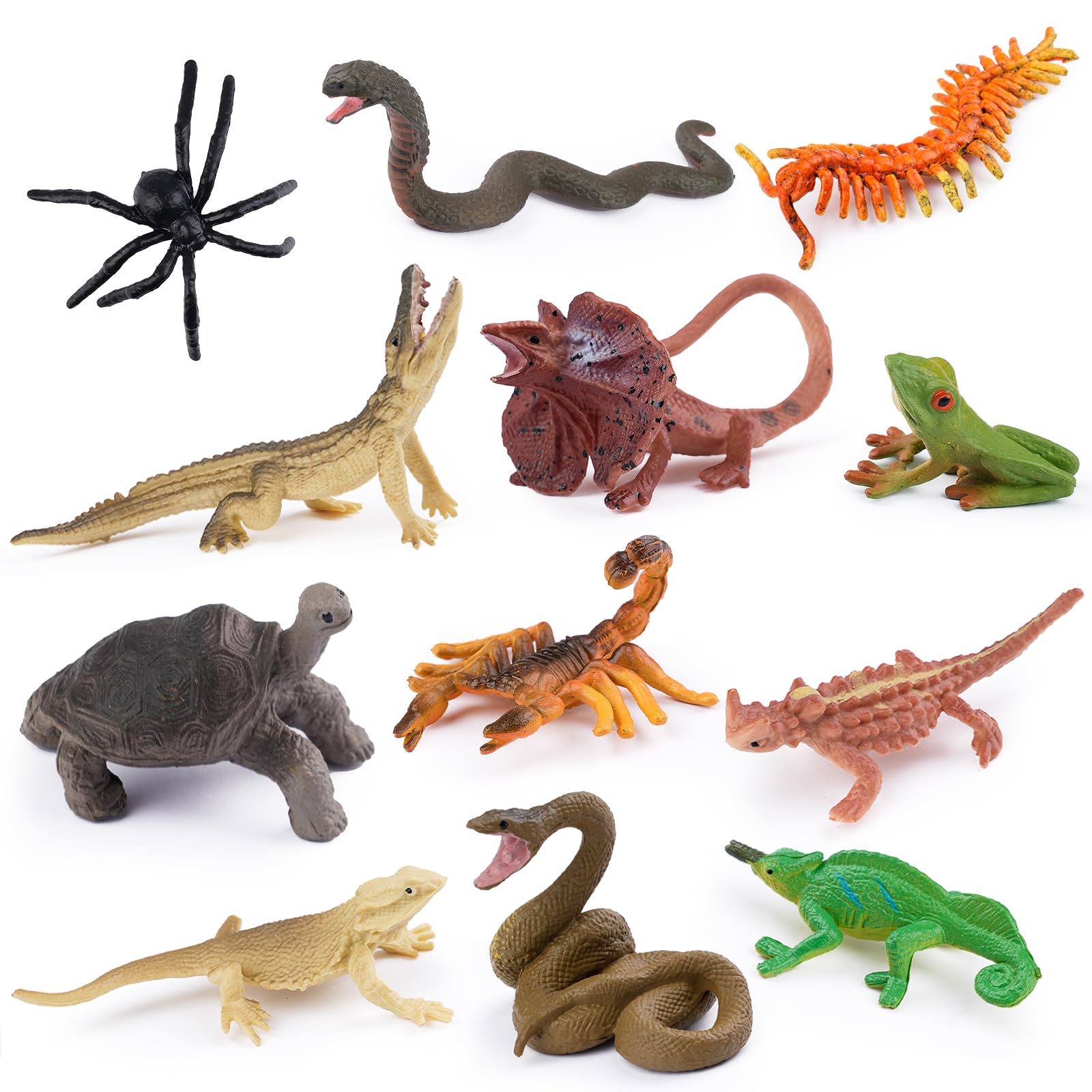 Maxmoc 12pcs Reptile Animal Figurine Toy Set,Mini Realistic Jungle Animals Toys for Kids with Snake Lizard Chameleon Spider for 2 3 4 5 6 7 Year Olds Tollders