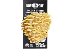 North Spore Organic Golden Oyster Mushroom Spray & Grow Kit (4 lbs) | USDA-Certified Organic, Non-GMO, Beginner-Friendly & Easy to Use | Handmade in Maine, USA