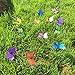 Butterfly Garden Ornaments & Patio Stakes Butterflies Plant Picks 12 Pcs Set