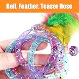 Speedy Panther 12 Pcs Cat Toys Indoor Plush Catnip Teaser Wand Spring Kit view 9