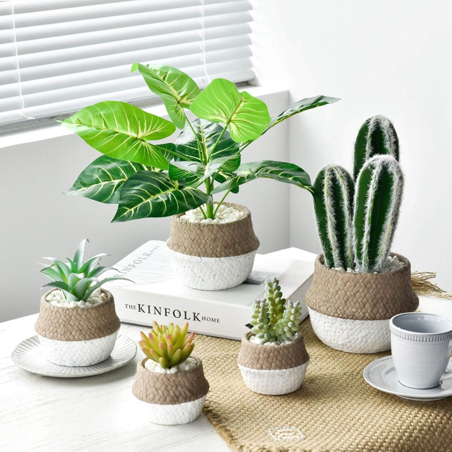 Amazon 人工観葉植物 サボテン柄 モンステラ柄 人工多肉植物 鉢植え リアル お世話のいらない 清潔簡単 枯れない ホーム 室内 箱庭 おしゃれ インテリア飾り ギフト 新年 引越し祝い 敬老の日 グリーン 人工観葉植物 オンライン通販