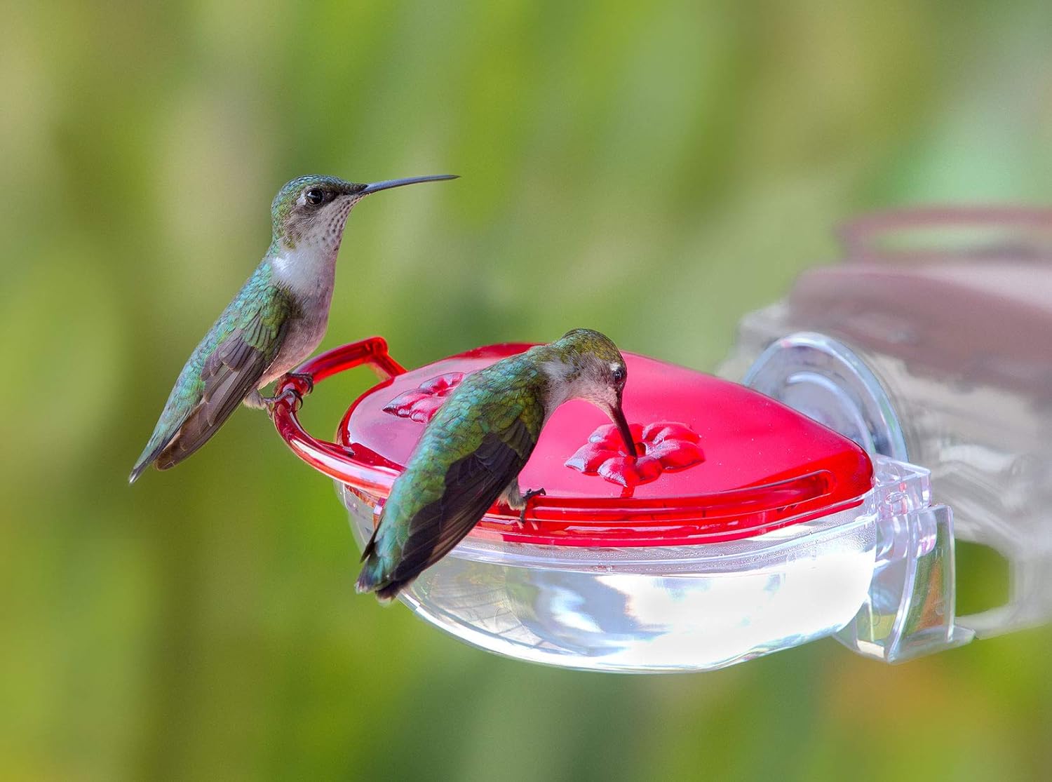Hummingbird Feeder -Mother's Day