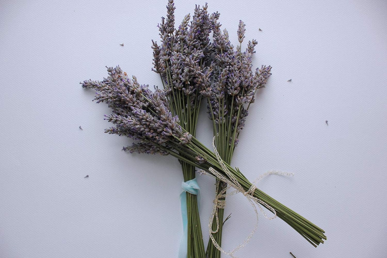 Graines De Lavande Vraie - Sachet 50 Graines - Le Grenier D'Abondance - Pour Cuisine Et Aromathérapie