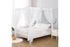 WANFASO Lace Canopy Bed Curtain Queen, Soft Romantic Bed Canopy Scarf for Girls Adults (Queen, White)
