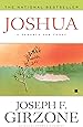 Joshua: A Parable for Today
