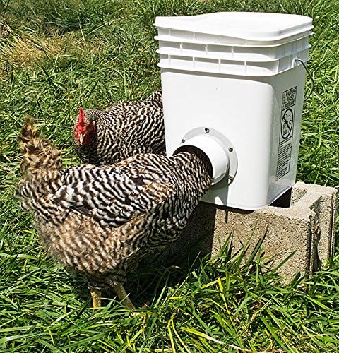 Amazon Com Muddyhillfarm Single Opening Chicken Duck Poultry