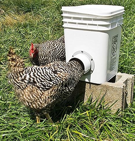 Amazon Com Muddyhillfarm Single Opening Chicken Duck Poultry