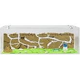 AntHouse - Natural Sand Ant Farm | Acrylic Big Starter Kit | Educative Ant Hill | 11.81 x 5.91 x 3.94 in