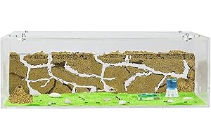 AntHouse - Natural Sand Ant Farm | Acrylic Big Starter Kit | Educative Ant Hill | 11.81 x 5.91 x 3.94 in