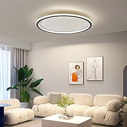 19.68 Inch Flush Mount Ceiling Light, 40-60W Round