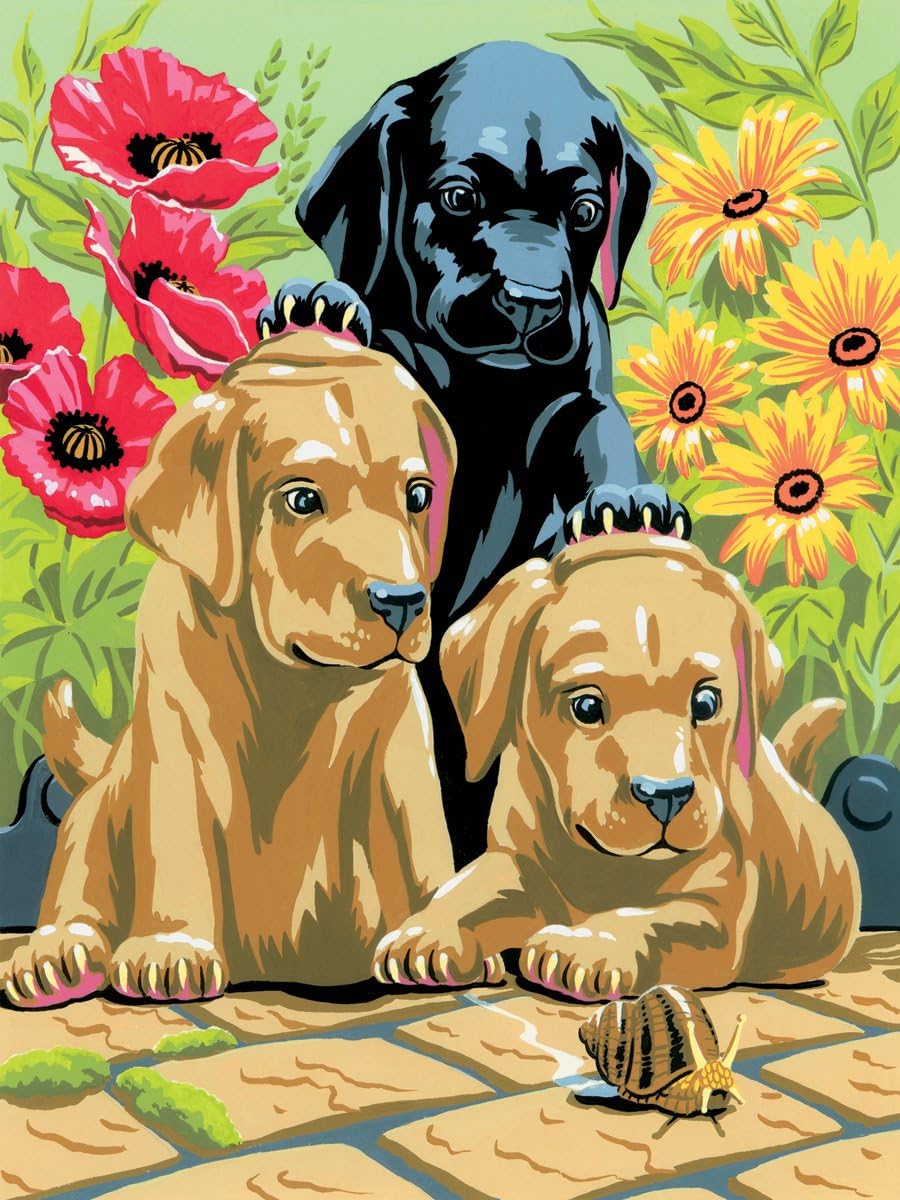 Diamante Crafts Painting by Numbers Kit - A4 - Includes Paints / Brush / Board - 14 Designs (PJS30 - Labrador Puppies)