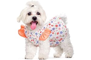 ABRRLO Small Dog Dress Summer Pet Dog Clothes for Small Dogs Cats Girl Cute Floral Puppy Harness Dresses with D Ring Pet Dog Princess Birthday Dress Female Doggie Summer Outfits Apparel(Orange,XXL)