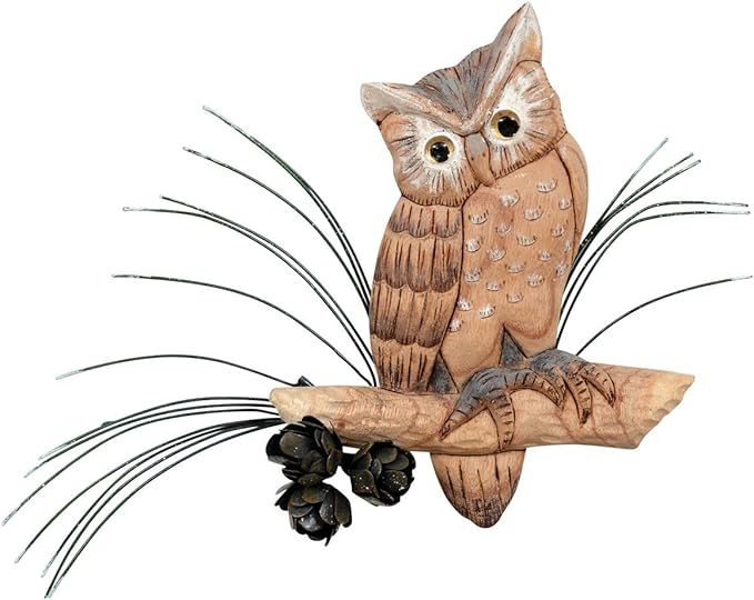 Black Forest Décor Owl Wisdom Wall Art Home & Kitchen