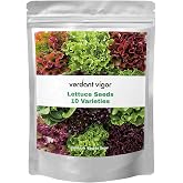 20,000+ Lettuce Seeds 10 Varieties of Fresh Salad Greens | Hydroponic Kit, Heirloom Vegetable Seed, for Planting Indoor Outdoor, Easy to Grow for Garden Beginners, Non-GMO