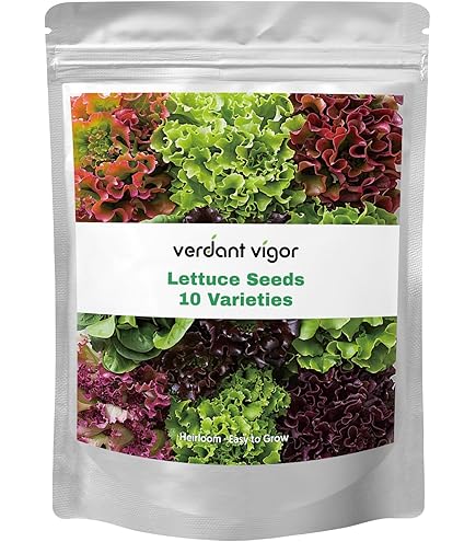 basil seed planting Culinary Basil 5 Seed Mix main image 0