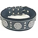 2.5 inch wide dog collars Clearance