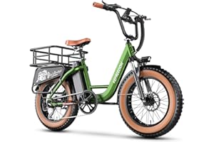EUY 1500W Peak Electric Bike for Adults, 48V 20Ah Removable Battery Max Range 70Miles & 30MPH Electric Bicycle, 20''×4.0" Fat Tire Ebike,Fast Cargo Ebikes,Commute Mountain E-Bike UL Certified