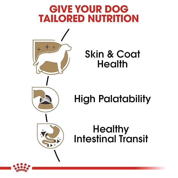 ROYAL CANIN BREED HEALTH NUTRITION CHIHUAHUA ADULT LOAF IN SAUCE WET DOG FOOD, 3 OZ CAN (4-PACK)