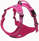 Truelove TLH5651 No-Pull Reflective Dog Harness XL Fuchsia