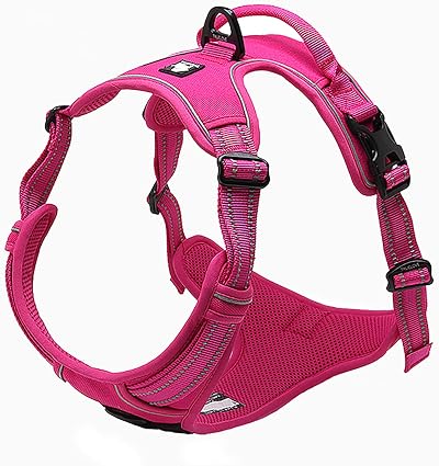 Truelove TLH5651 No-Pull Reflective Dog Harness XL Fuchsia