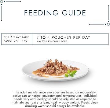 gourmet cat food 60 pouches