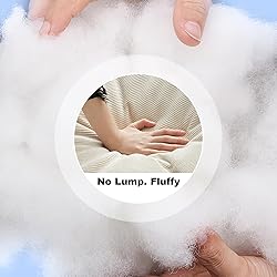 16oz/1lb Polyester Fiberfill Stuffing - Pillow